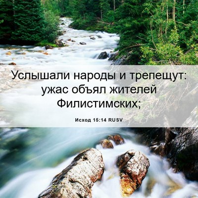 Picture 06 - Исход 15:14 RUSV - Услышали народы и - Bible Verse Picture