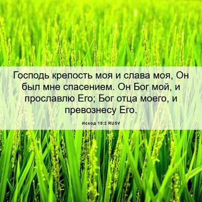 Picture 06 - Исход 15:2 RUSV - Господь крепость моя и - Bible Verse Picture