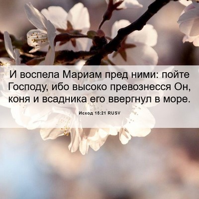 Picture 06 - Исход 15:21 RUSV - И воспела Мариам пред ними: - Bible Verse Picture