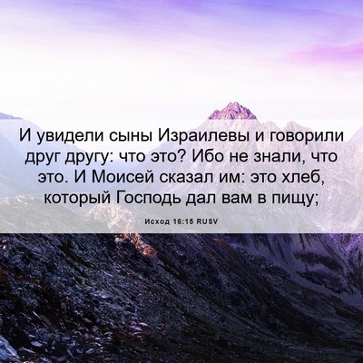 Picture 06 - Исход 16:15 RUSV - И увидели сыны Израилевы и - Bible Verse Picture