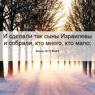 Picture 06 - Исход 16:17 RUSV - И сделали так сыны - Bible Verse Picture