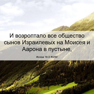 Picture 06 - Исход 16:2 RUSV - И возроптало все общество - Bible Verse Picture