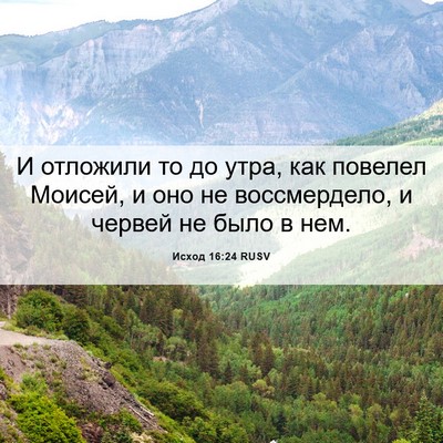 Picture 06 - Исход 16:24 RUSV - И отложили то до утра, как - Bible Verse Picture