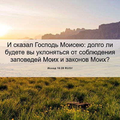 Picture 06 - Исход 16:28 RUSV - И сказал Господь Моисею: - Bible Verse Picture