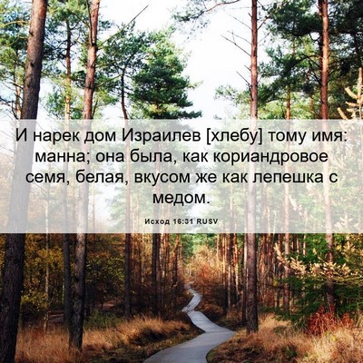 Picture 06 - Исход 16:31 RUSV - И нарек дом Израилев - Bible Verse Picture