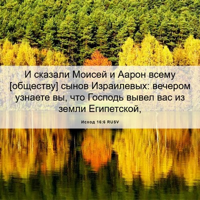 Picture 06 - Исход 16:6 RUSV - И сказали Моисей и Аарон - Bible Verse Picture