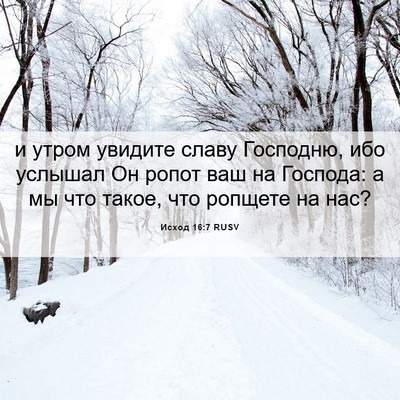 Picture 06 - Исход 16:7 RUSV - и утром увидите славу - Bible Verse Picture