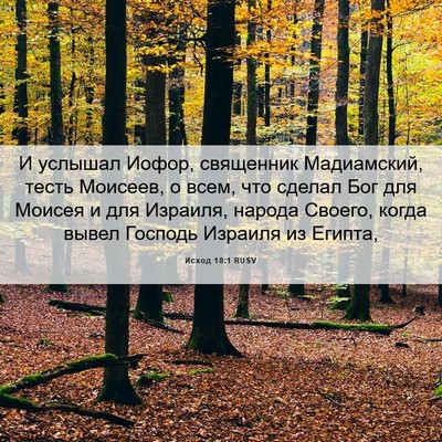 Picture 06 - Исход 18:1 RUSV - И услышал Иофор, священник - Bible Verse Picture