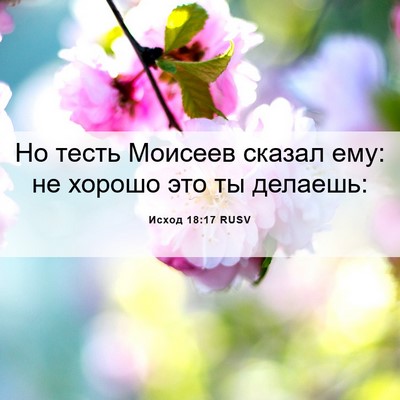 Picture 06 - Исход 18:17 RUSV - Но тесть Моисеев сказал - Bible Verse Picture