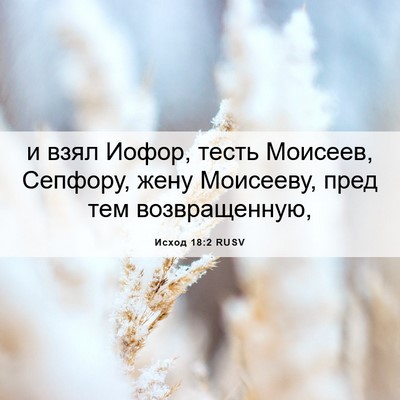 Picture 06 - Исход 18:2 RUSV - и взял Иофор, тесть - Bible Verse Picture