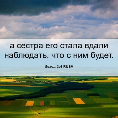 Picture 06 - Исход 2:4 RUSV - а сестра его стала вдали - Bible Verse Picture