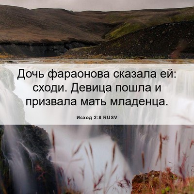 Picture 06 - Исход 2:8 RUSV - Дочь фараонова сказала ей: - Bible Verse Picture