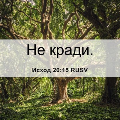 Picture 06 - Исход 20:15 RUSV - Не - Bible Verse Picture