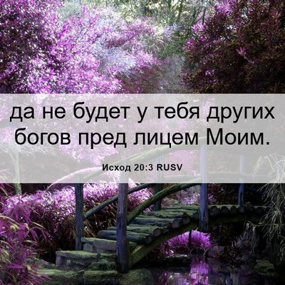 Picture 06 - Исход 20:3 RUSV - да не будет у тебя других - Bible Verse Picture