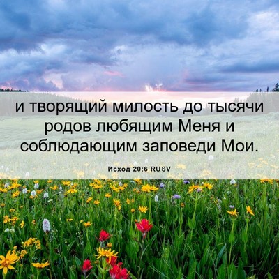 Picture 06 - Исход 20:6 RUSV - и творящий милость до - Bible Verse Picture