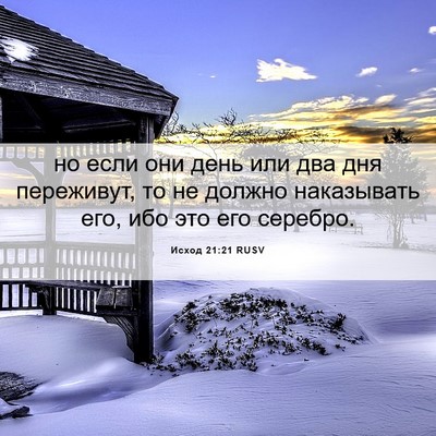 Picture 06 - Исход 21:21 RUSV - но если они день или два - Bible Verse Picture