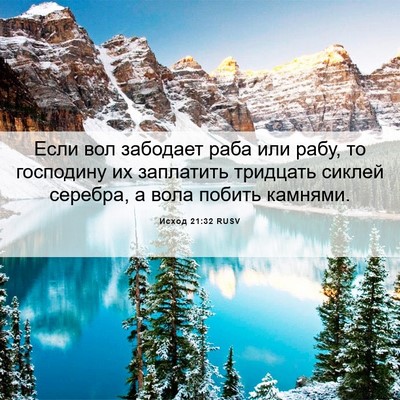 Picture 06 - Исход 21:32 RUSV - Если вол забодает раба или - Bible Verse Picture