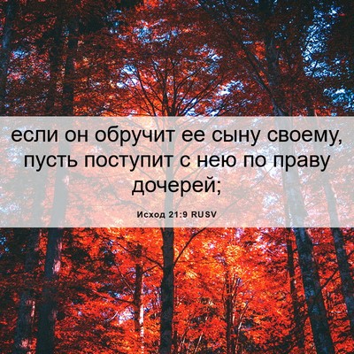 Picture 06 - Исход 21:9 RUSV - если он обручит ее сыну - Bible Verse Picture