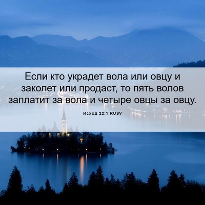 Picture 06 - Исход 22:1 RUSV - Если кто украдет вола или - Bible Verse Picture