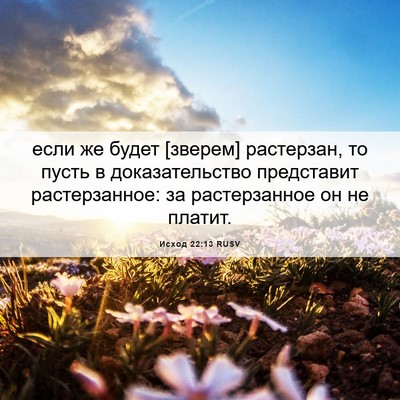 Picture 06 - Исход 22:13 RUSV - если же будет [зверем] - Bible Verse Picture