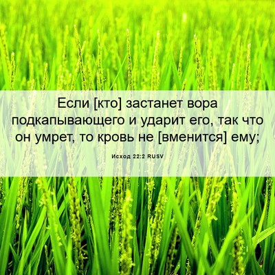 Picture 06 - Исход 22:2 RUSV - Если [кто] застанет вора - Bible Verse Picture