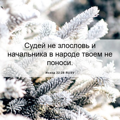 Picture 06 - Исход 22:28 RUSV - Судей не злословь и - Bible Verse Picture