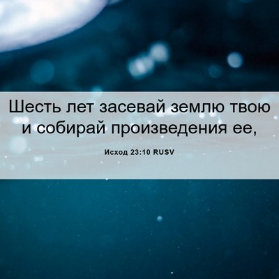 Picture 06 - Исход 23:10 RUSV - Шесть лет засевай землю - Bible Verse Picture