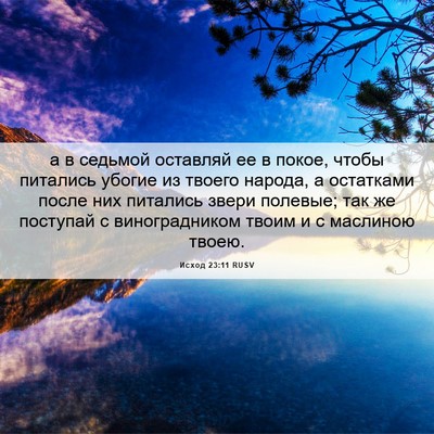 Picture 06 - Исход 23:11 RUSV - а в седьмой оставляй ее в - Bible Verse Picture