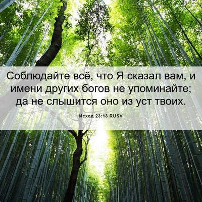 Picture 06 - Исход 23:13 RUSV - Соблюдайте всё, что Я - Bible Verse Picture