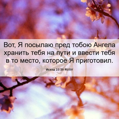 Picture 06 - Исход 23:20 RUSV - Вот, Я посылаю пред тобою - Bible Verse Picture