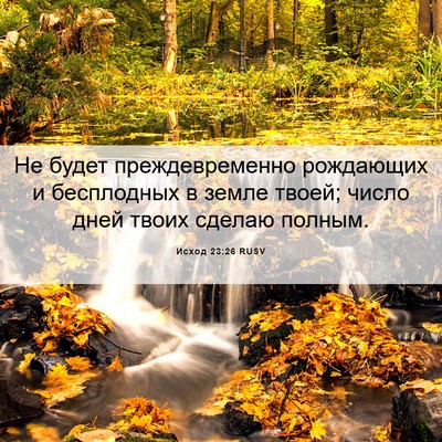 Picture 06 - Исход 23:26 RUSV - Не будет преждевременно - Bible Verse Picture