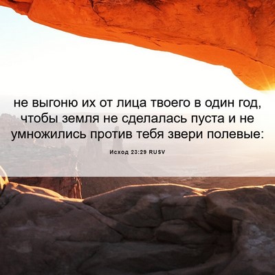 Picture 06 - Исход 23:29 RUSV - не выгоню их от лица твоего - Bible Verse Picture