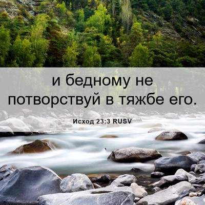 Picture 06 - Исход 23:3 RUSV - и бедному не потворствуй в - Bible Verse Picture