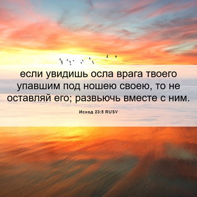 Picture 06 - Исход 23:5 RUSV - если увидишь осла врага - Bible Verse Picture