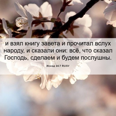 Picture 06 - Исход 24:7 RUSV - и взял книгу завета и - Bible Verse Picture