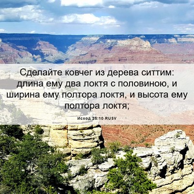 Picture 06 - Исход 25:10 RUSV - Сделайте ковчег из дерева - Bible Verse Picture