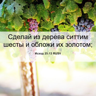 Picture 06 - Исход 25:13 RUSV - Сделай из дерева ситтим - Bible Verse Picture