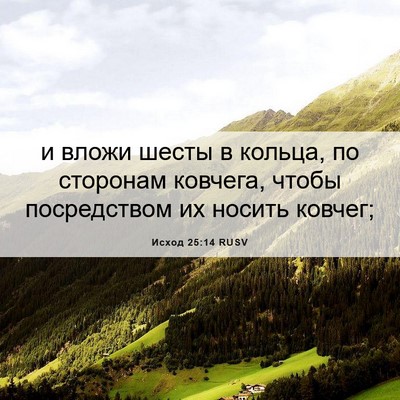 Picture 06 - Исход 25:14 RUSV - и вложи шесты в кольца, по - Bible Verse Picture