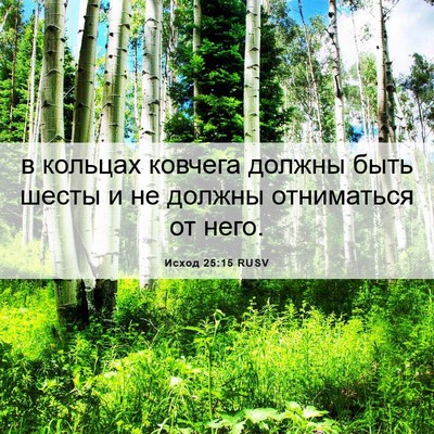 Picture 06 - Исход 25:15 RUSV - в кольцах ковчега должны - Bible Verse Picture