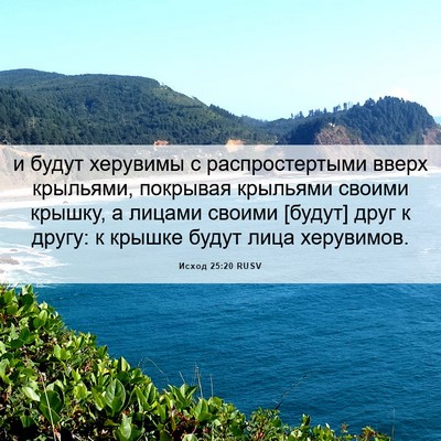 Picture 06 - Исход 25:20 RUSV - и будут херувимы с - Bible Verse Picture