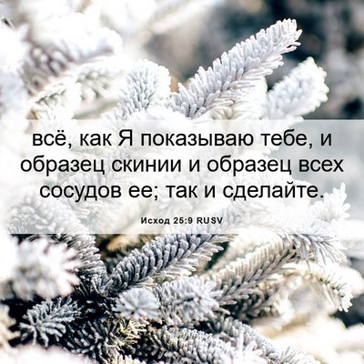 Picture 06 - Исход 25:9 RUSV - всё, как Я показываю тебе, и - Bible Verse Picture