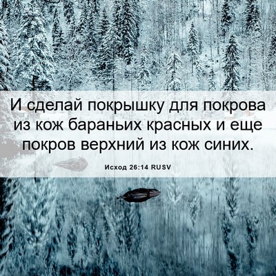 Picture 06 - Исход 26:14 RUSV - И сделай покрышку для - Bible Verse Picture