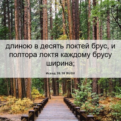 Picture 06 - Исход 26:16 RUSV - длиною в десять локтей - Bible Verse Picture