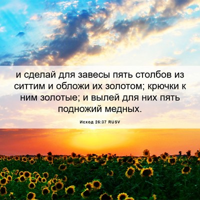 Picture 06 - Исход 26:37 RUSV - и сделай для завесы пять - Bible Verse Picture