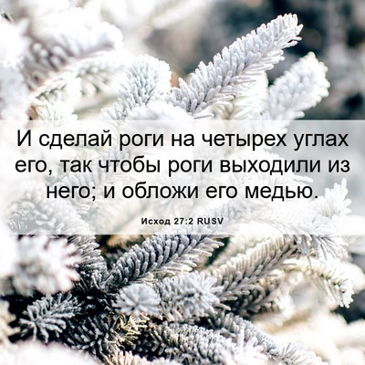 Picture 06 - Исход 27:2 RUSV - И сделай роги на четырех - Bible Verse Picture
