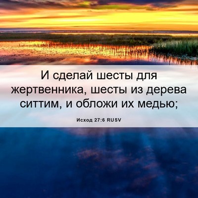 Picture 06 - Исход 27:6 RUSV - И сделай шесты для - Bible Verse Picture