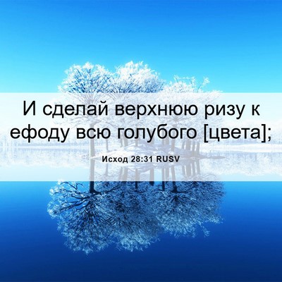 Picture 06 - Исход 28:31 RUSV - И сделай верхнюю ризу к - Bible Verse Picture