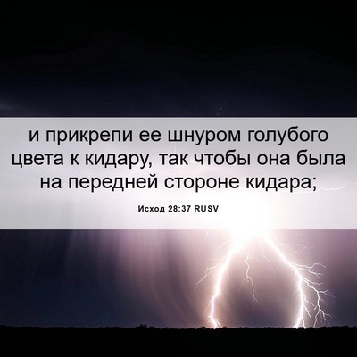 Picture 06 - Исход 28:37 RUSV - и прикрепи ее шнуром - Bible Verse Picture