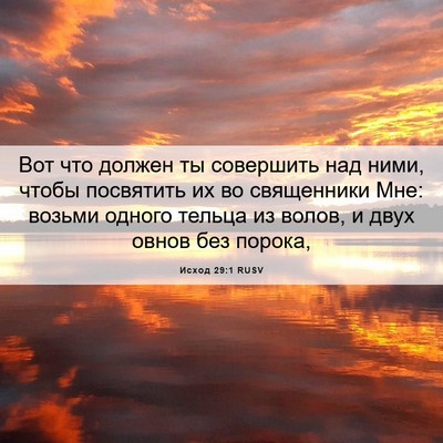 Picture 06 - Исход 29:1 RUSV - Вот что должен ты - Bible Verse Picture