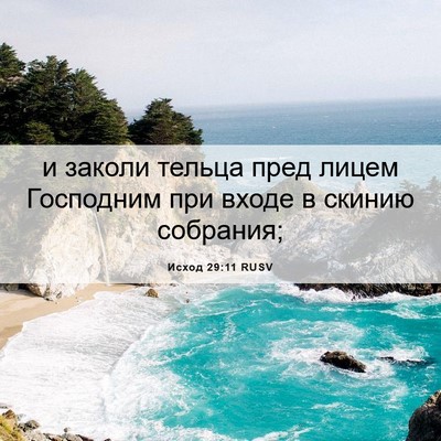 Picture 06 - Исход 29:11 RUSV - и заколи тельца пред лицем - Bible Verse Picture